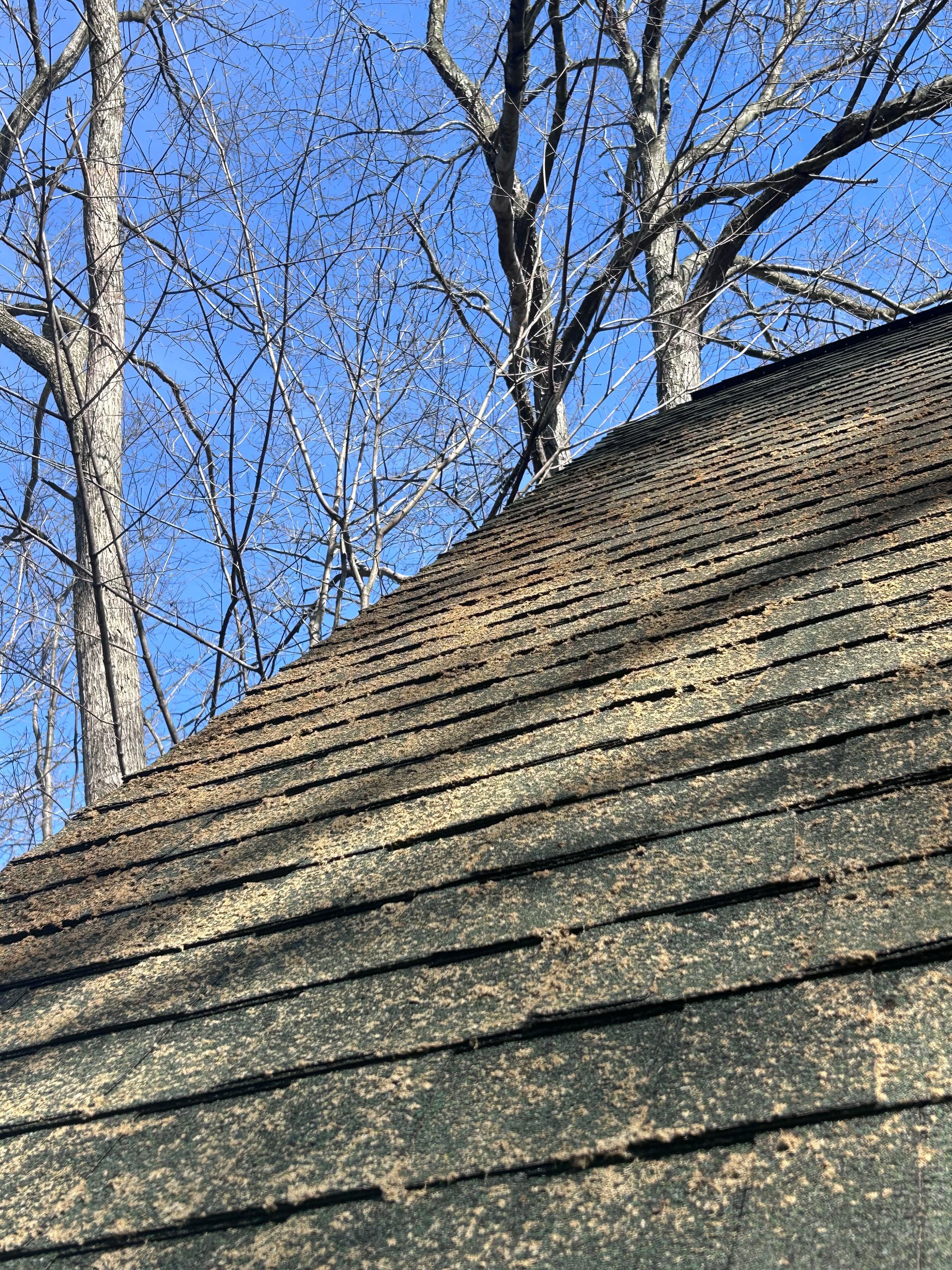 Gallery photos for Moss-Covered Roof Cleaning in Eaton Rapids: Image #1