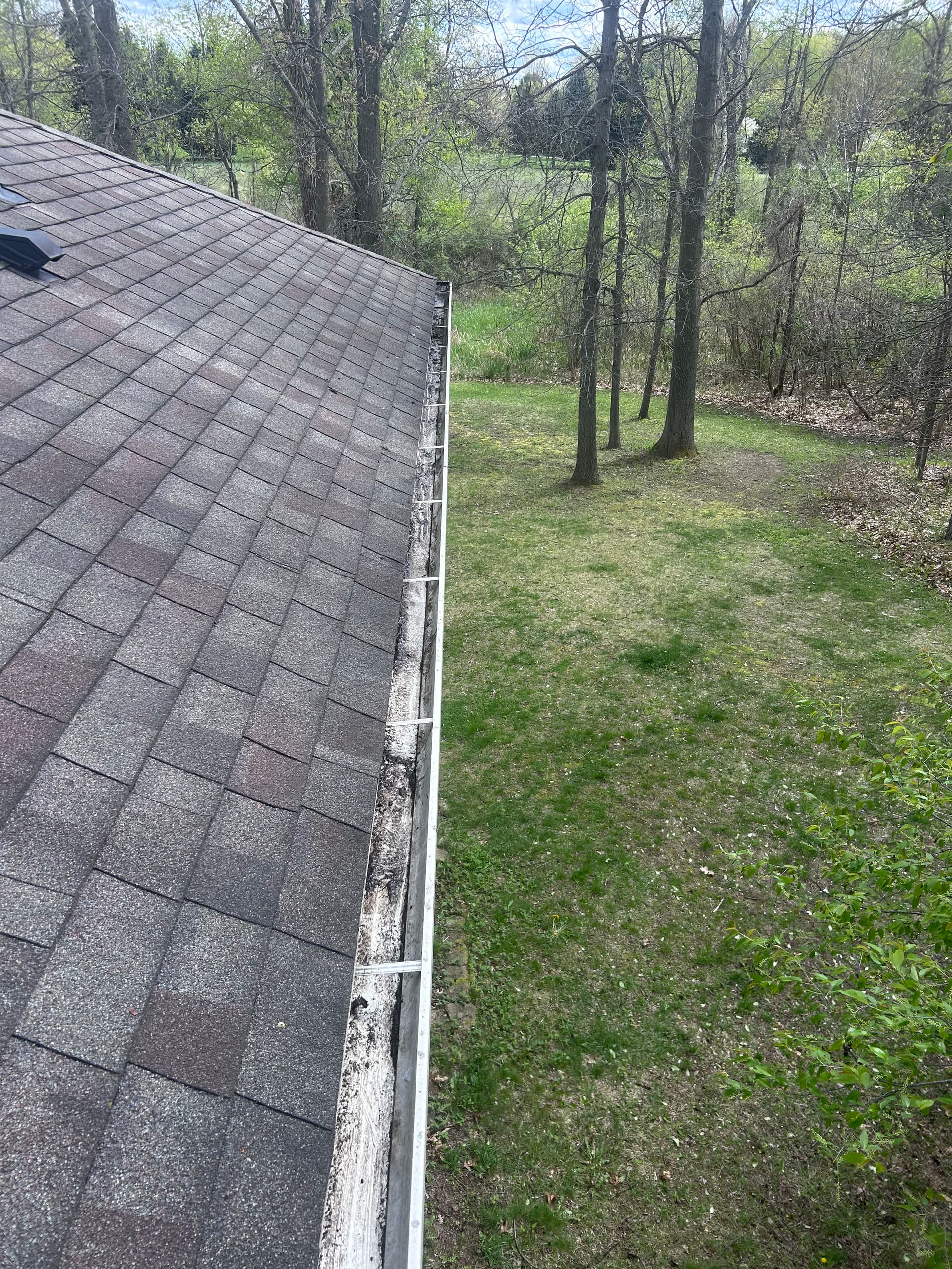 Gallery photos for Gutter Cleaning Done Right in Williamston: Image #3