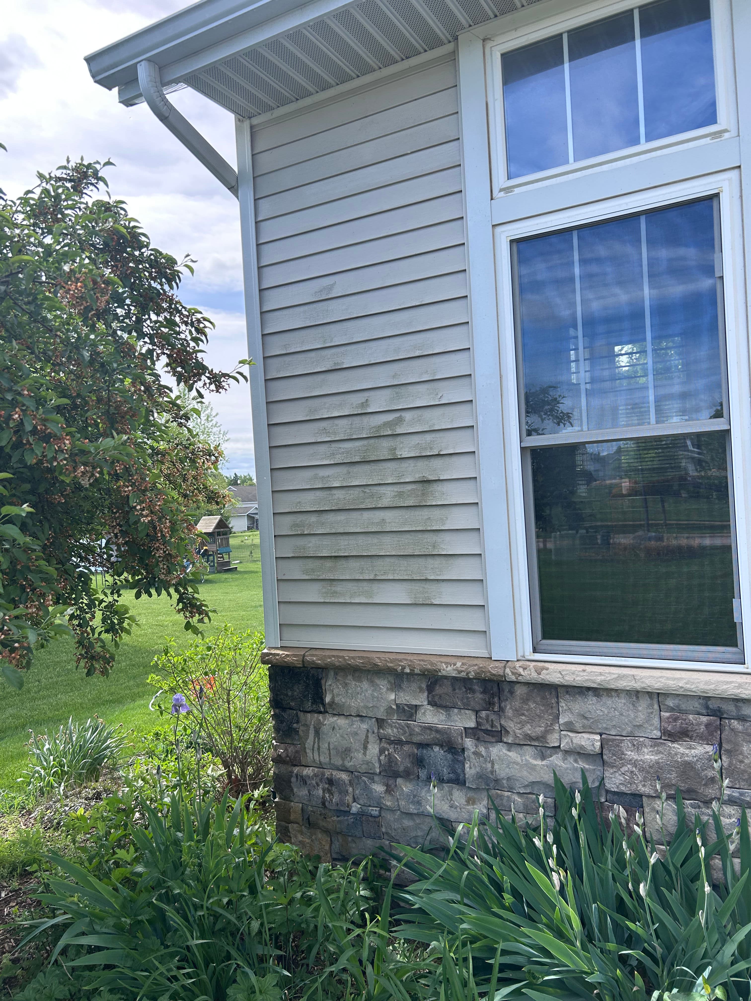 Project St. John's House Wash Removes Black and Green Staining from Vinyl Siding image