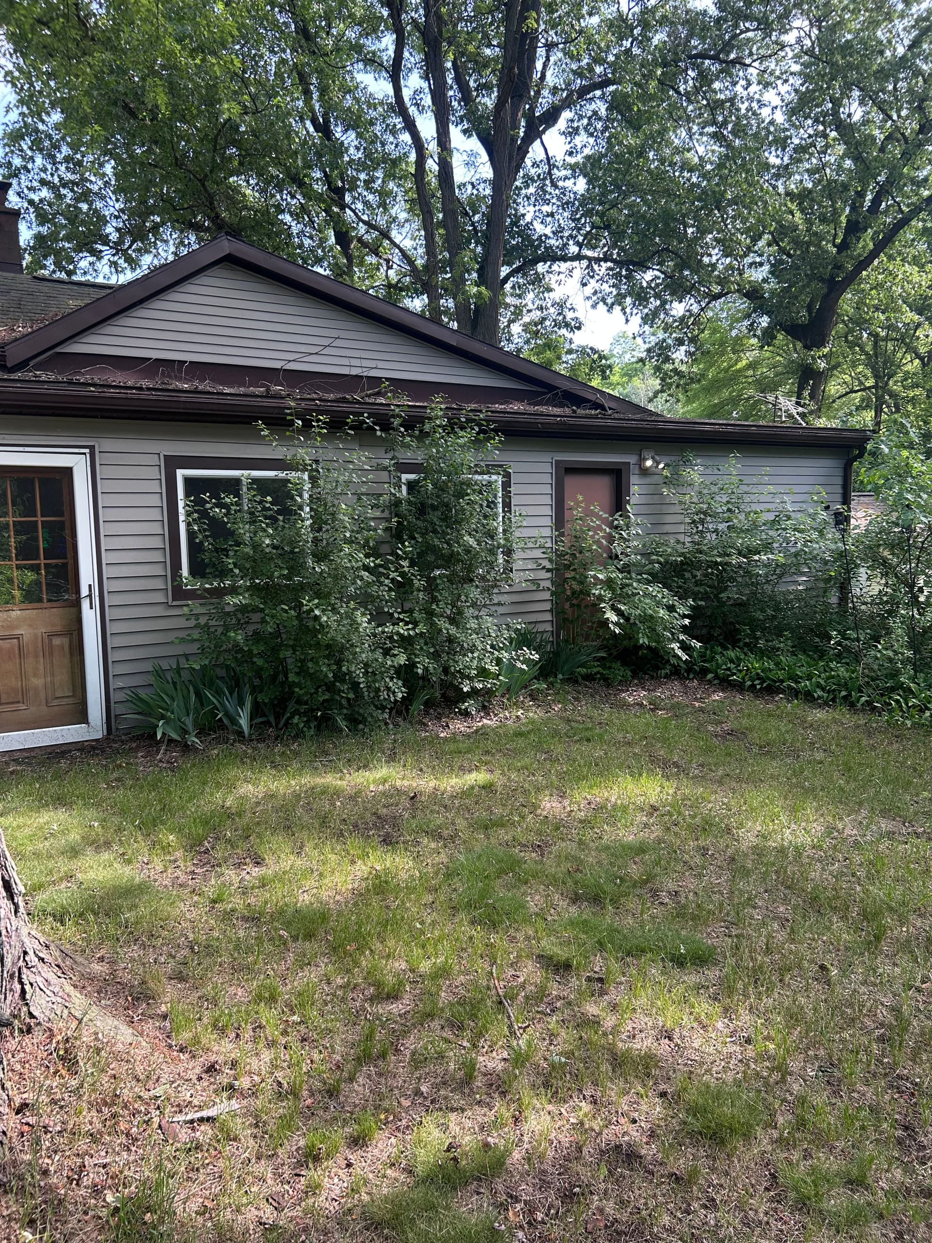 Gallery photos for Roof Wash, House Wash, and Tree Trimming in Laingsburg: Image #8