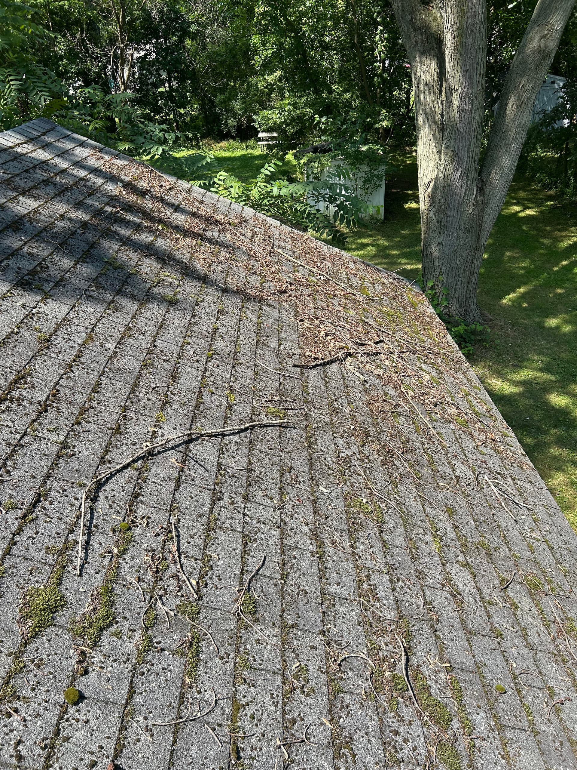 Roof Cleaning Project in Lansing
