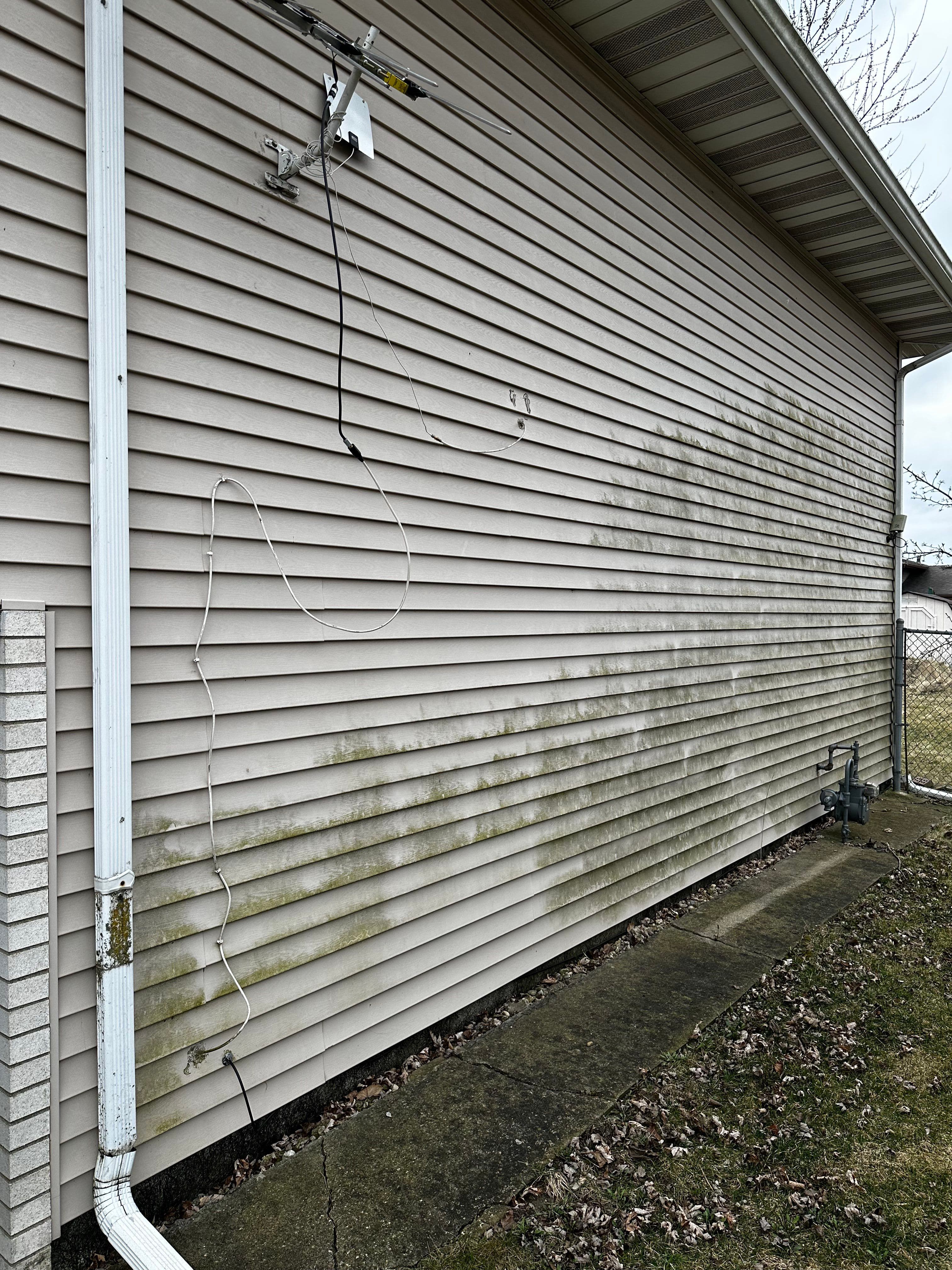 Project Two House Washes Done Right in Williamston image