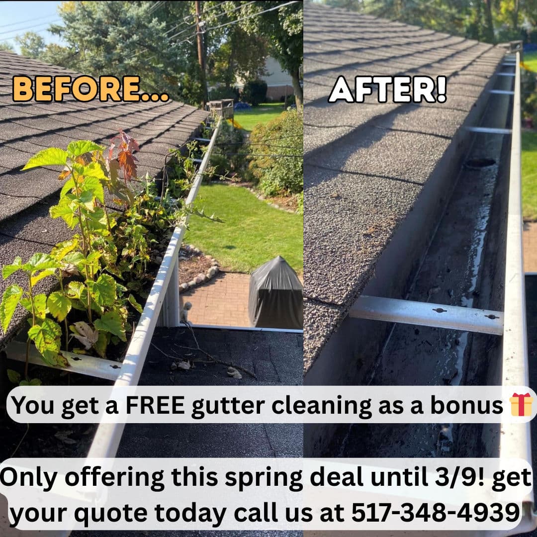 Spring Savings Alert - Laingsburg