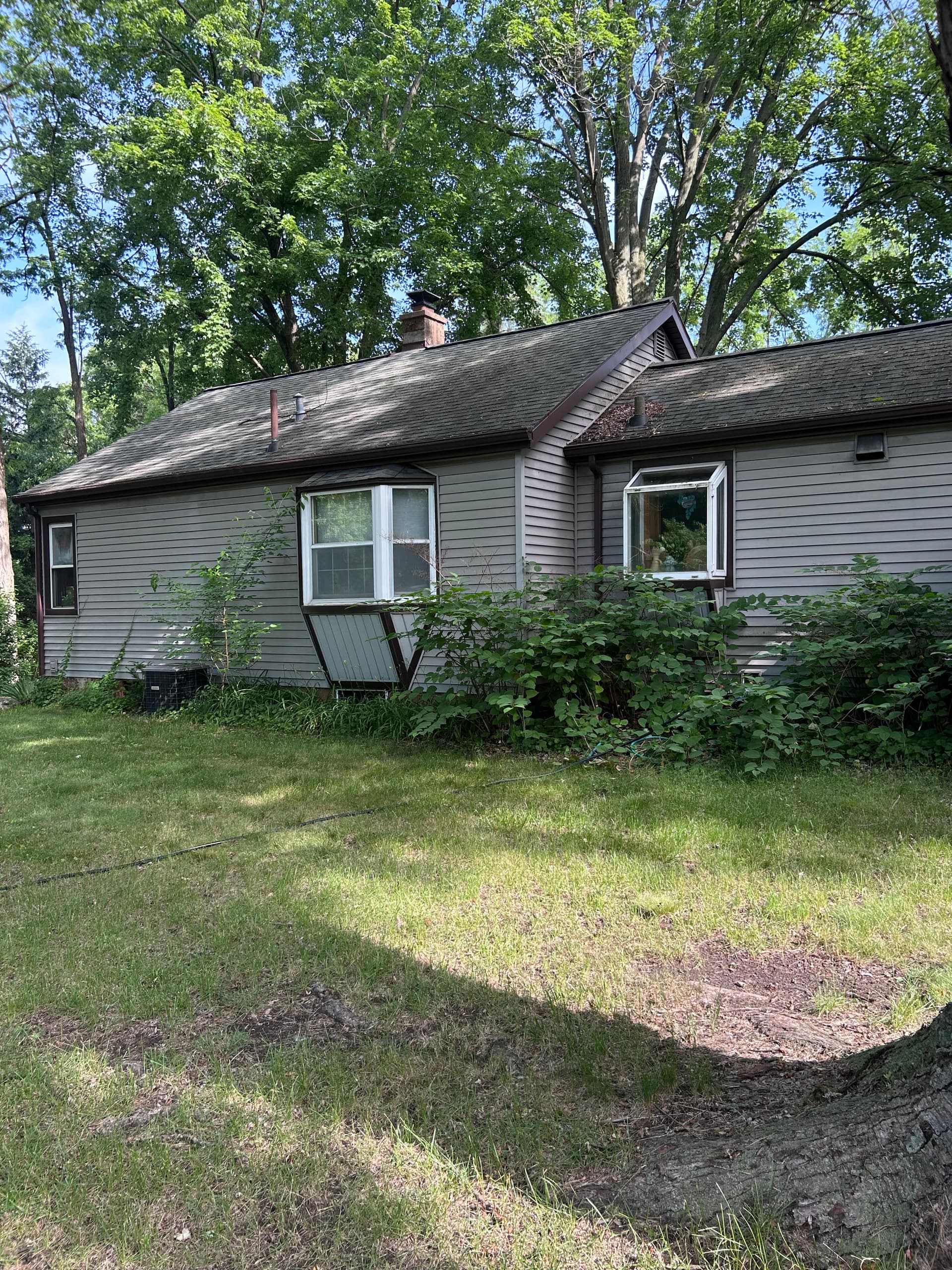 Gallery photos for Roof Wash, House Wash, and Tree Trimming in Laingsburg: Image #6