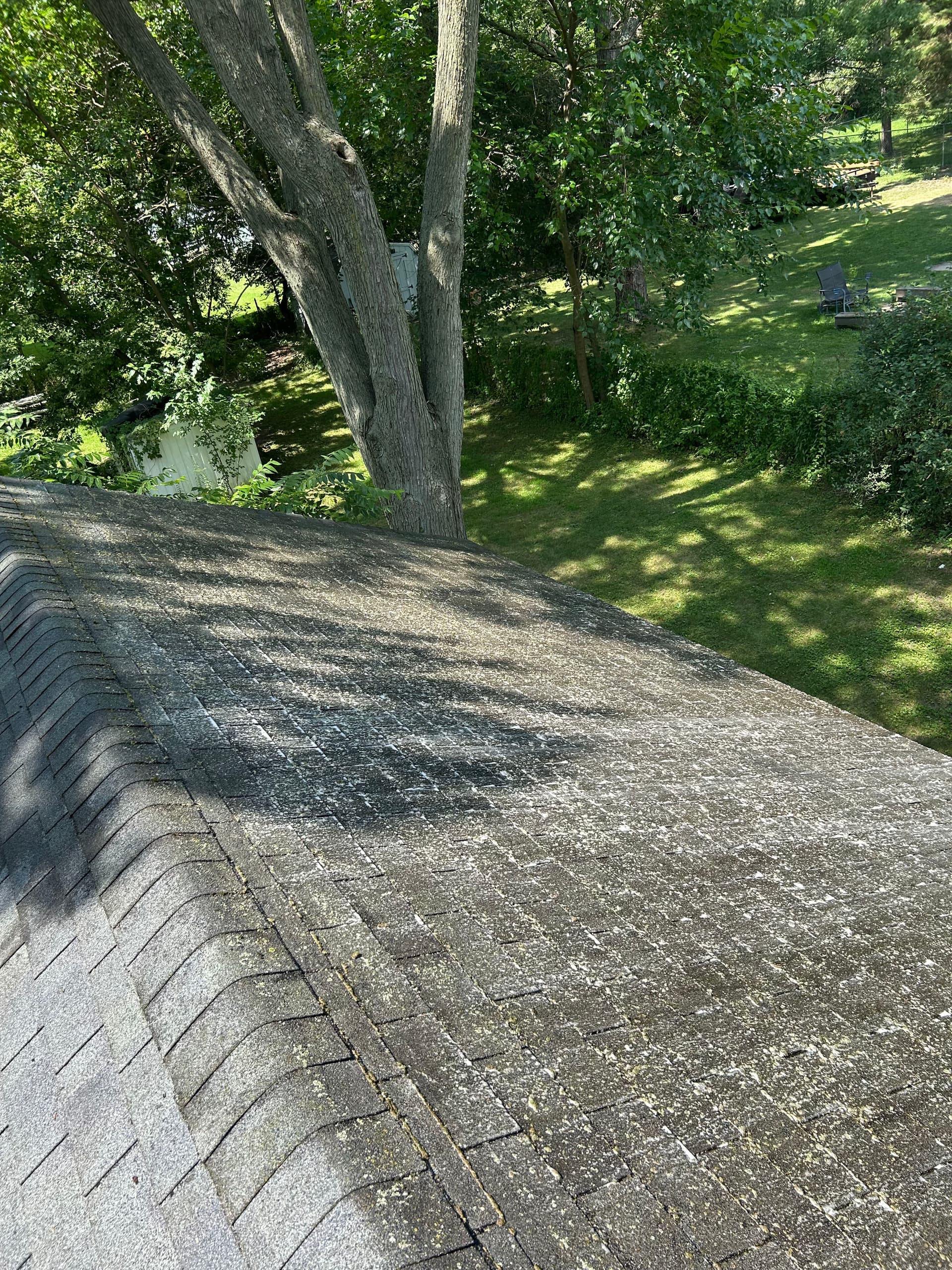 Roof Cleaning Project in Lansing