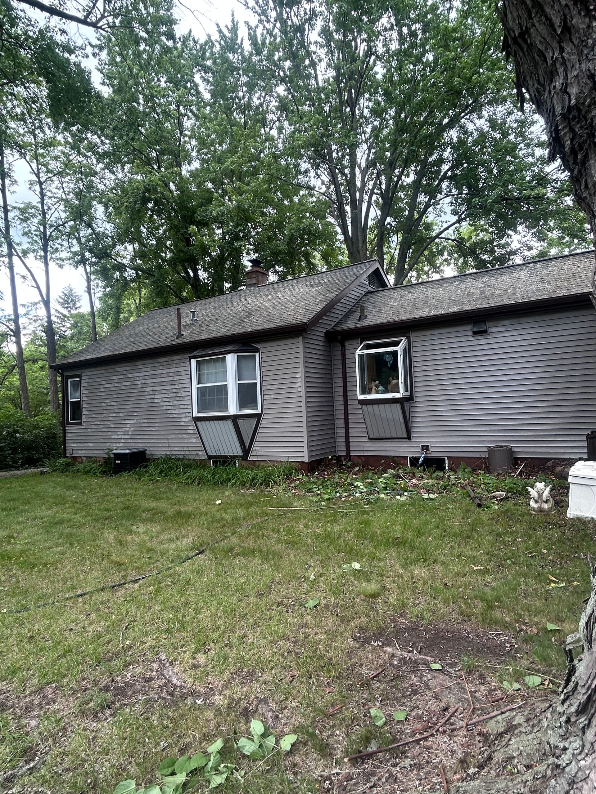 Gallery photos for Roof Wash, House Wash, and Tree Trimming in Laingsburg: Image #7