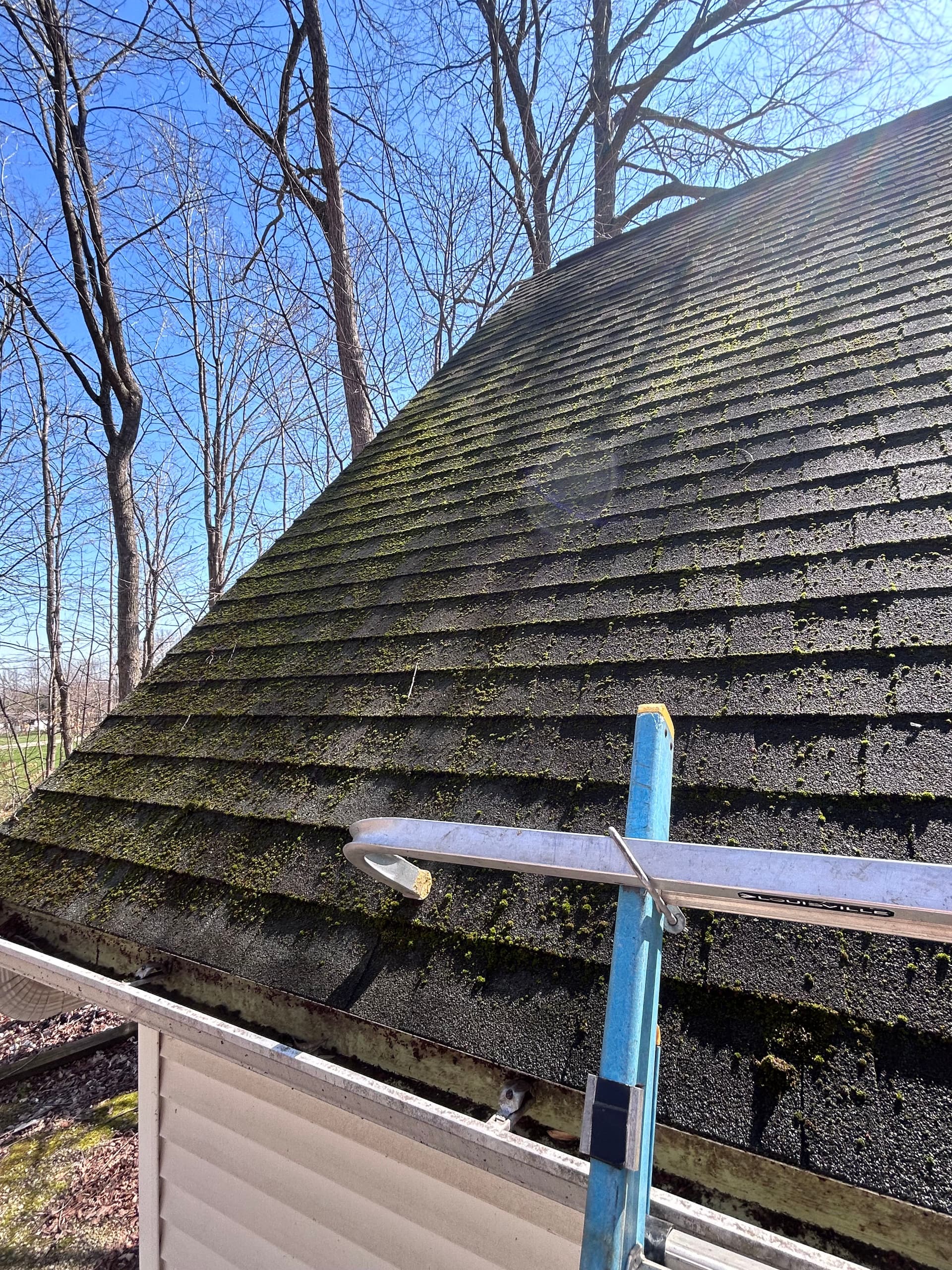 Moss-Covered Roof Cleaning in Eaton Rapids image