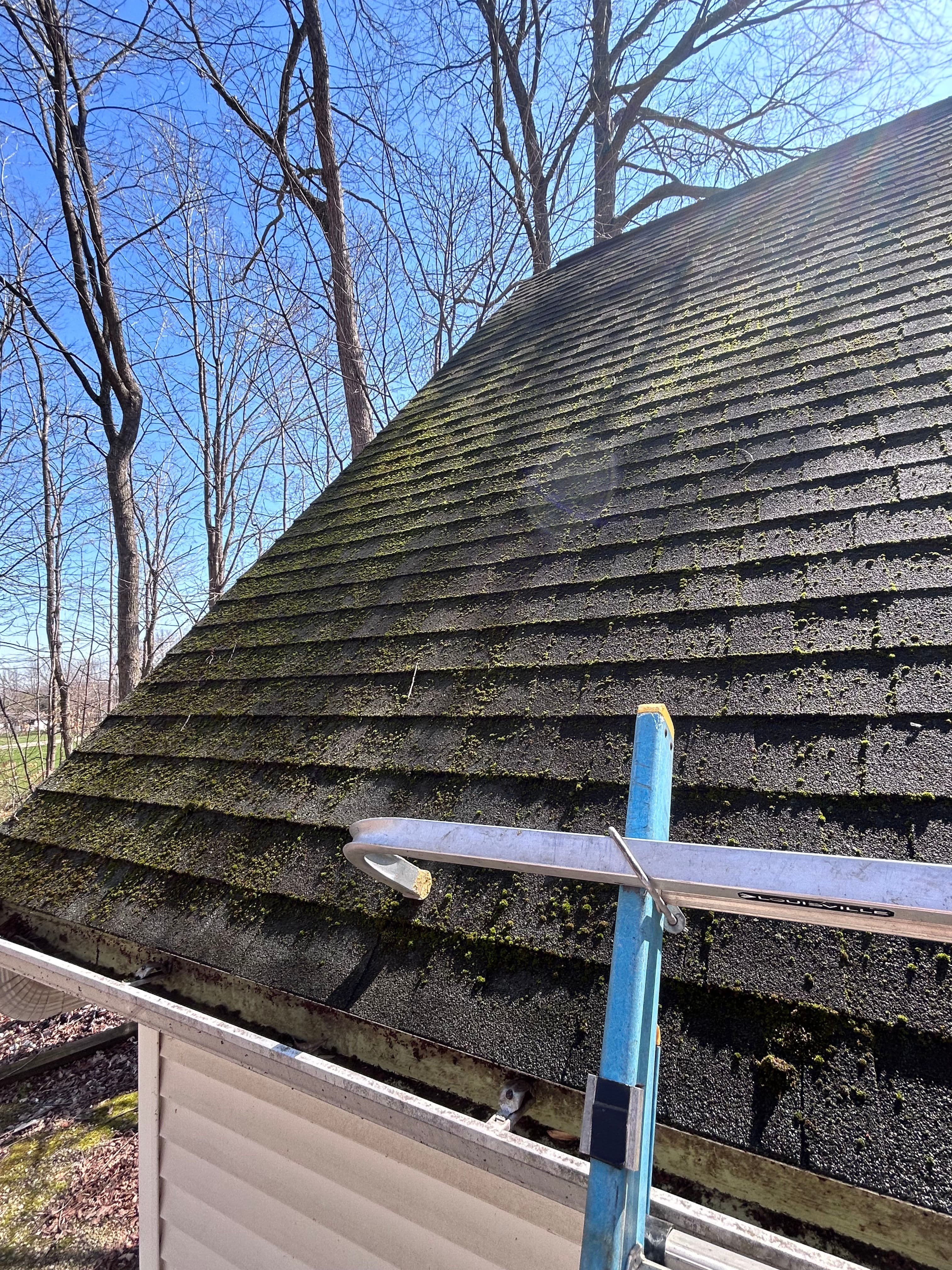 Project Moss-Covered Roof Cleaning in Eaton Rapids image