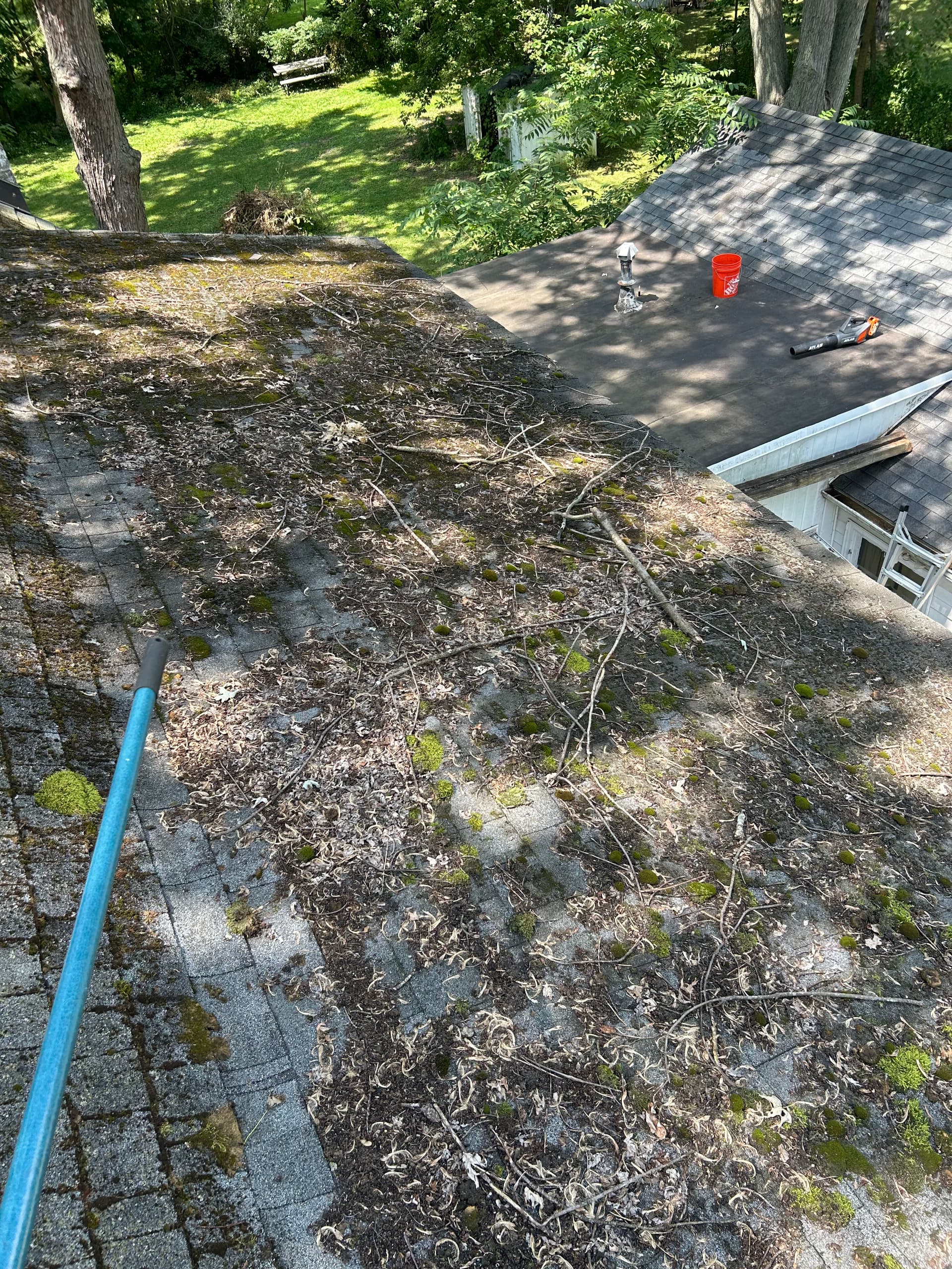 Roof Cleaning Project in Lansing