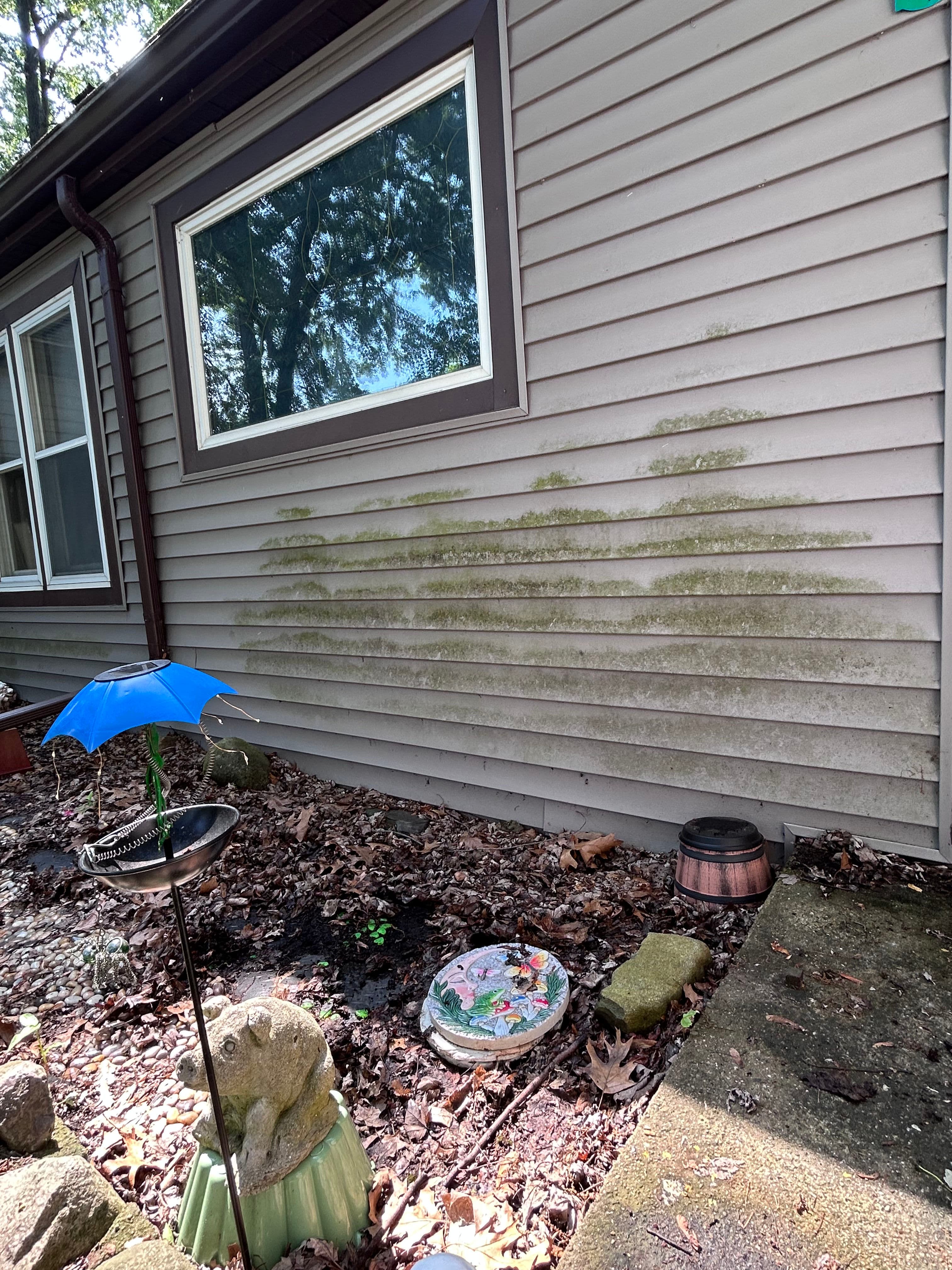 Project Roof Wash, House Wash, and Tree Trimming in Laingsburg image