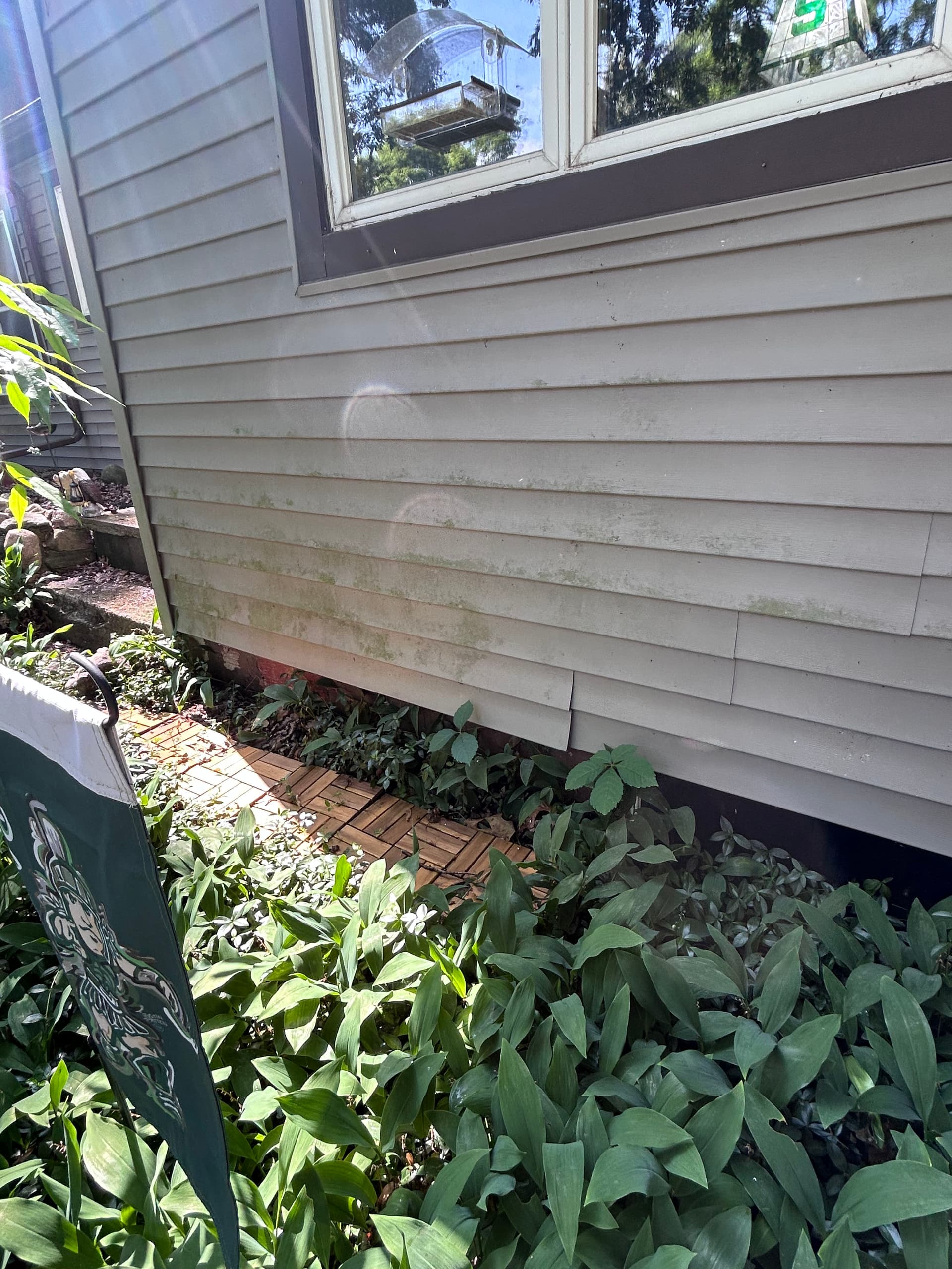 Gallery photos for Roof Wash, House Wash, and Tree Trimming in Laingsburg: Image #4