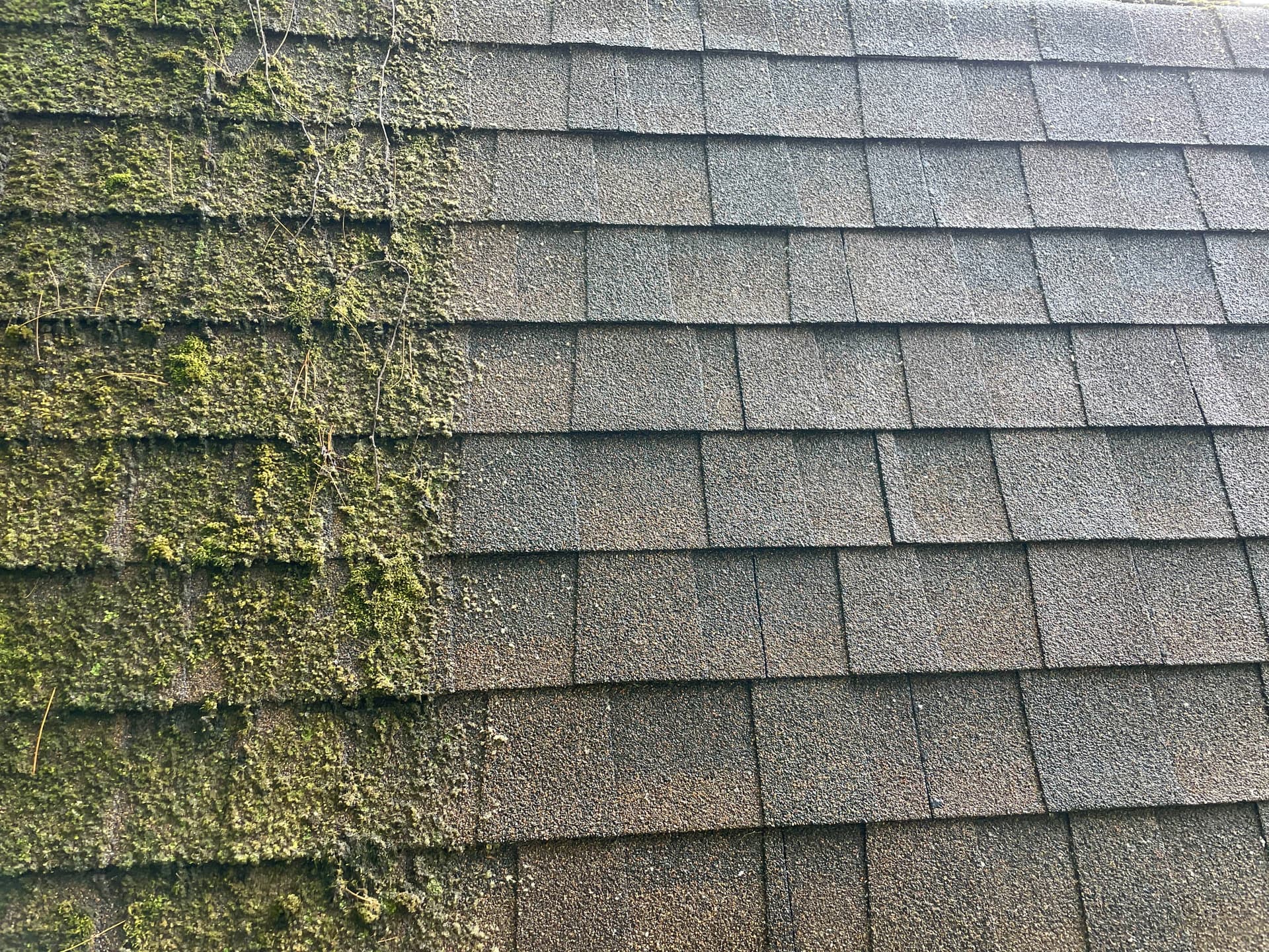 Gallery photos for Hey Michigan! It's Time for a Fresh Start with Arrowhead Exterior: Image #4