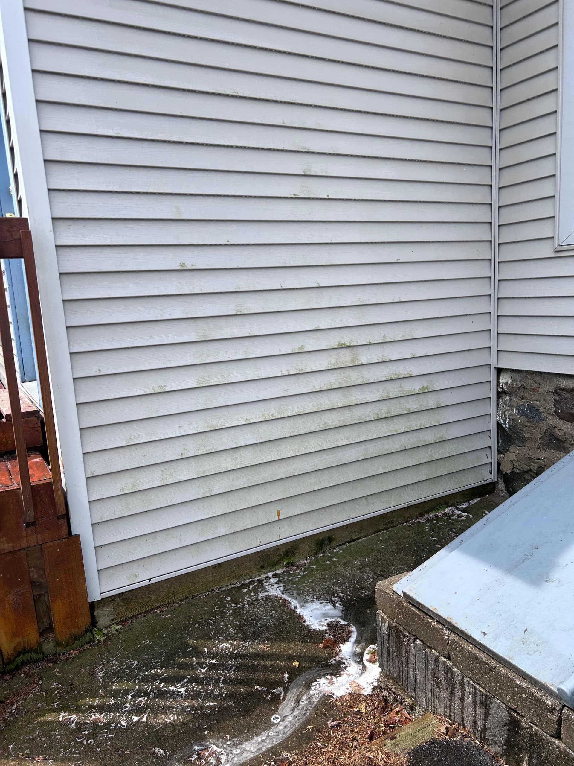 Gallery photos for Gutter Cleaning and House Washing in Williamston: Image #2